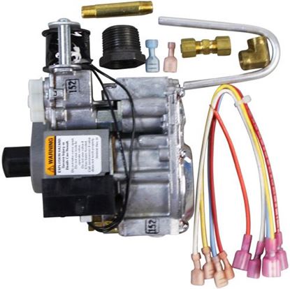 Cleveland FK113048, Replacement Kit, 2-Stage Gas Valve