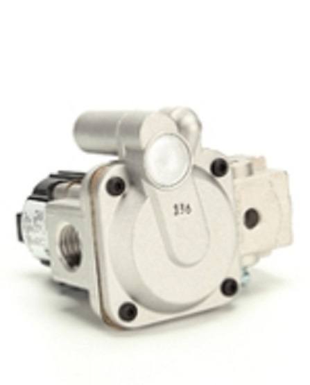 Groen Z098444, Valve Gas Johnson Controls LP