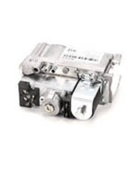 Groen 114505, Valve, Gas (G20/G25 GAS)