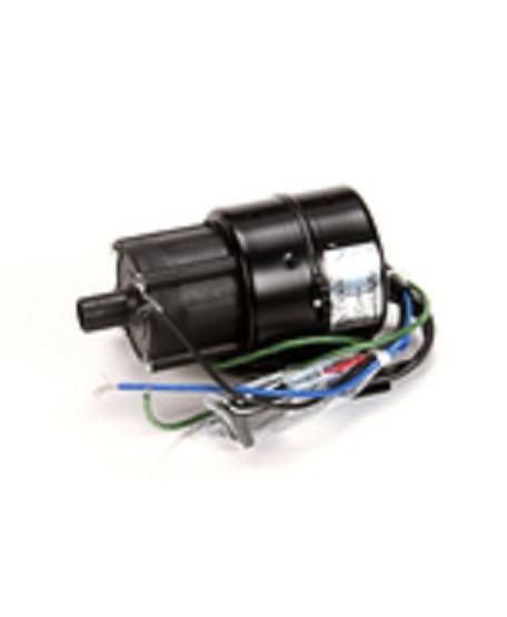 Hoshizaki 4Y3082A01, Pump & Capacitor Assembly