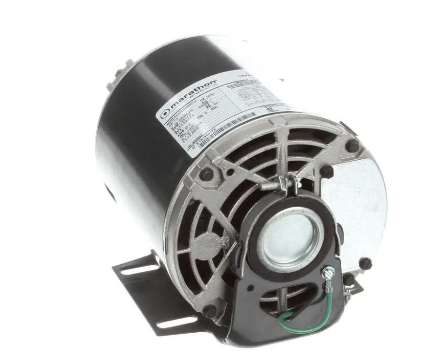 Multiplex 5009598, Motor, Carb Pump, 120/240V