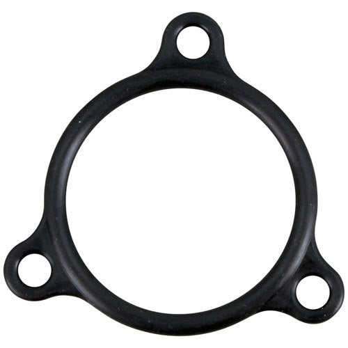 Champion 109985, HEATER FLANGE SEAL