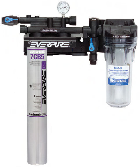 Everpure Kleensteam II Single System (EV9797-21), Steamer Water Filter System