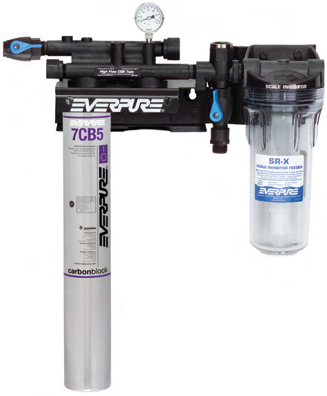 Everpure Kleensteam II Twin System (EV9797-22), High Flow Steamer Water Filter System