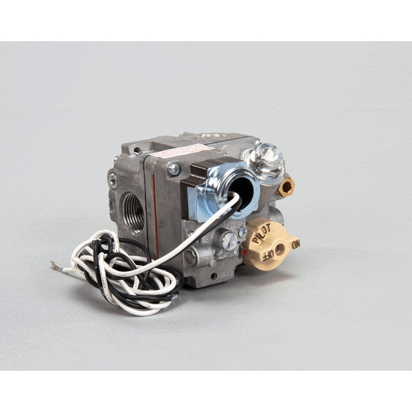 Anets P5045651, Gas Valve, 3/4 in., 120V, Natural Gas