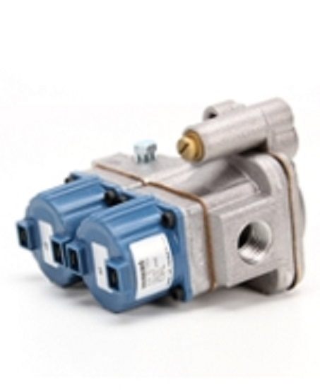 AccuTemp AT2E-1806-3, Control Valve Propane