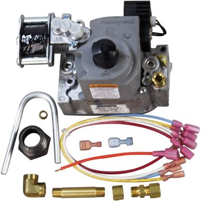 Cleveland FK113049, Replacement Kit, 2-Stage Gas Valve