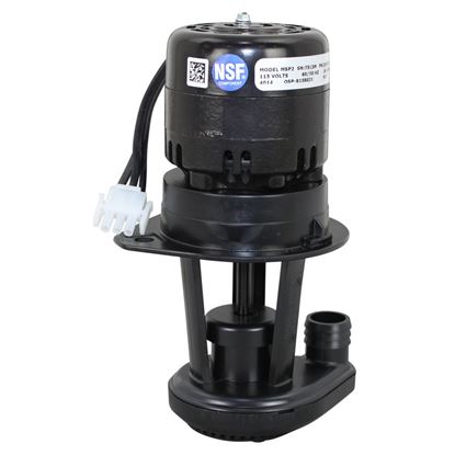 Manitowoc 2005713 Water Pump, 115V