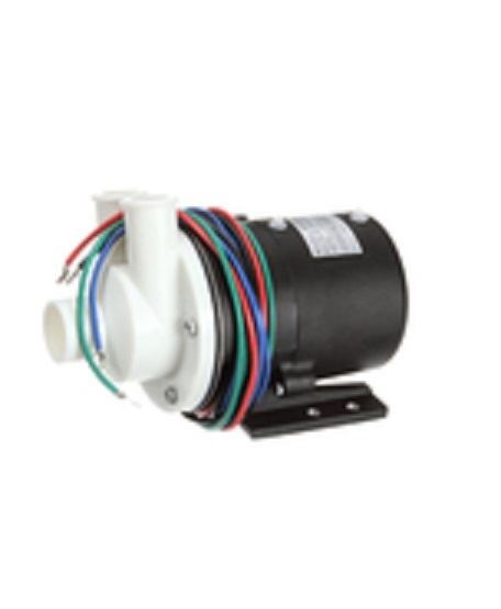 Hoshizaki HS-0177, Pump/Motor Assembly