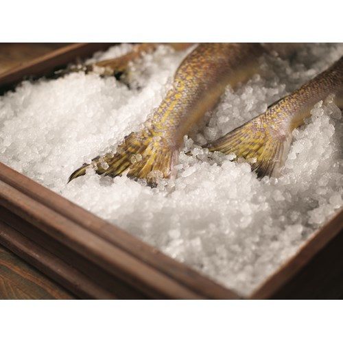Scotsman FS1222, 1100 lb Prodigy Flake Ice Machine