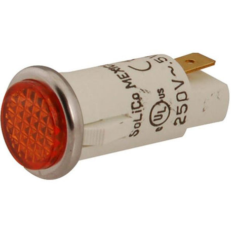 Delfield 2194095, Pilot Indicator Light, 250V