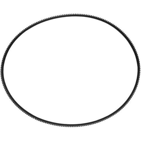 Berkel 01-402375-00015, BELT 5M