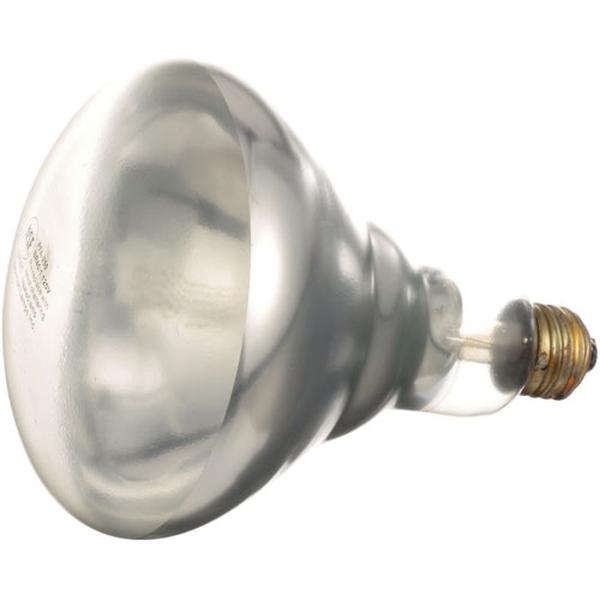 Vollrath 022-252-BULB-RM, INFRA-RED LAMP (CLEAR) 1 20V 250W