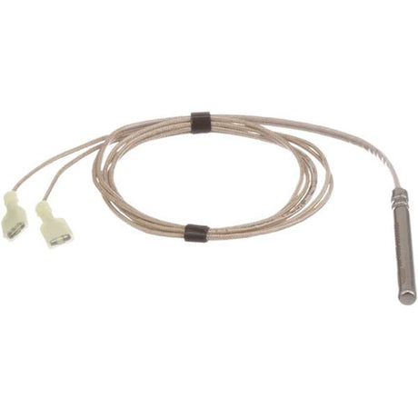 Blodgett 18588, Temperature Probe