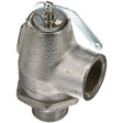 Groen Z011004, Safety Valve, 25 PSI, 3/4" NPT