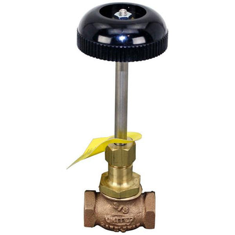 Groen Z002051, Globe Valve with Hand Wheel, 3/8" NPT