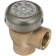Champion 100500, Vacuum Breaker, 1/2", Bronze