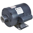 BKI M0053, Fryer Filter Motor, Leeson, Less Cord and Pump, 115/230V
