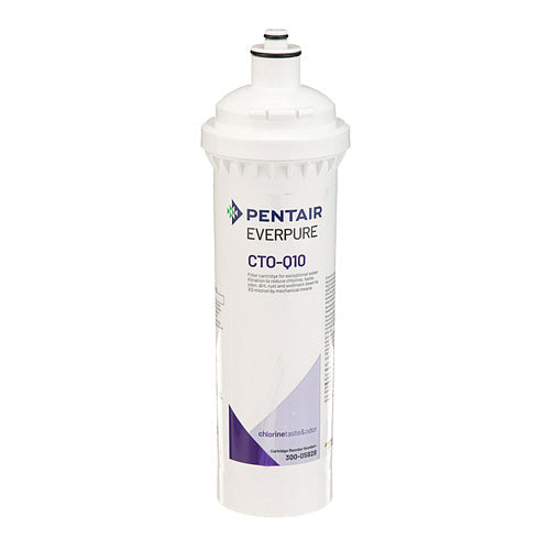 Everpure 300-05828, CTO-Q10 Water Filter Replacement Cartridge