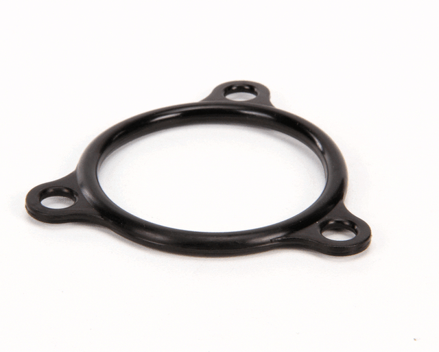 Champion 109985, Electric Heater Flange Seal, O-Ring