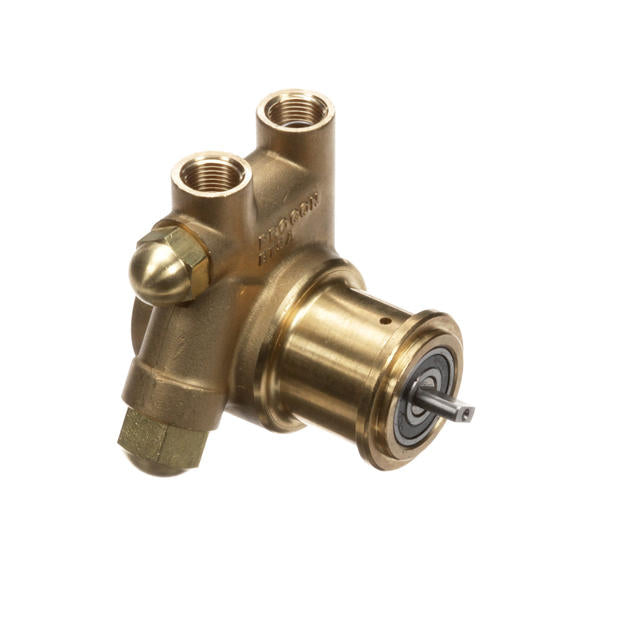 Cornelius 312996000, Water Pump, 100 GPH, 250 PSI