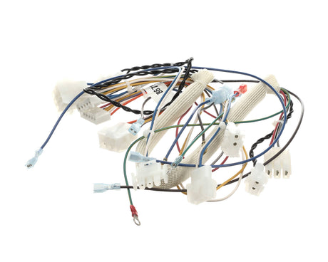 Pitco B6796302, Power Control Box Wiring Harness, Right Hand